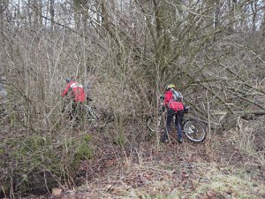Waldtour 025